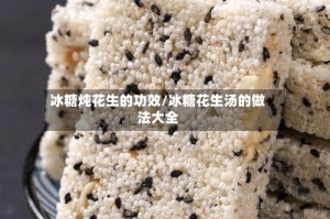 冰糖炖花生的功效/冰糖花生汤的做法大全