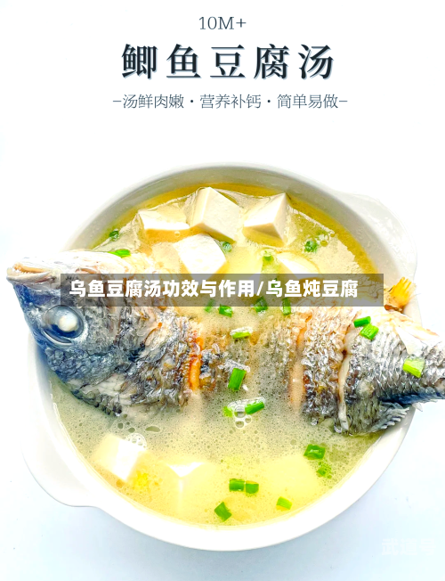 乌鱼豆腐汤功效与作用/乌鱼炖豆腐-第2张图片