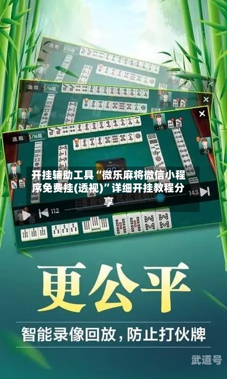 开挂辅助工具“微乐麻将微信小程序免费挂(透视)”详细开挂教程分享-第2张图片
