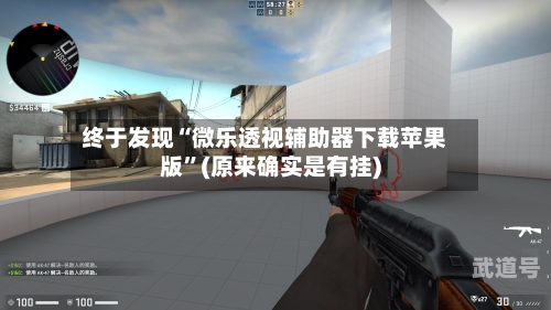 终于发现“微乐透视辅助器下载苹果版”(原来确实是有挂)-第2张图片