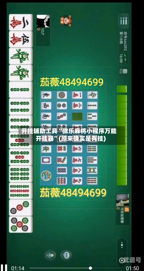 开挂辅助工具“微乐麻将小程序万能开挂器	”(原来确实是有挂)-第2张图片