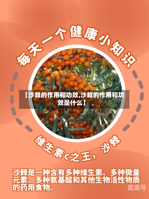 【沙棘的作用和功效,沙棘的作用和功效是什么】-第3张图片