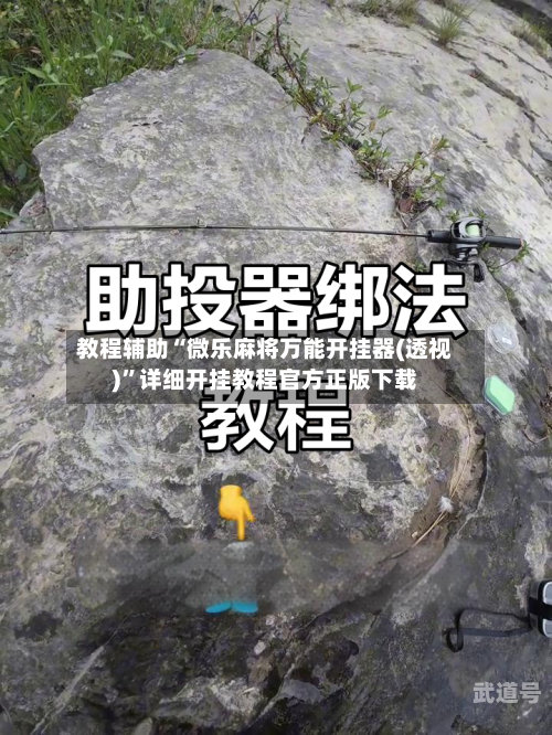 教程辅助“微乐麻将万能开挂器(透视)”详细开挂教程官方正版下载-第2张图片