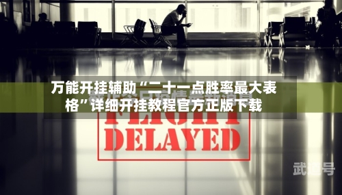 万能开挂辅助“二十一点胜率最大表格	”详细开挂教程官方正版下载-第2张图片