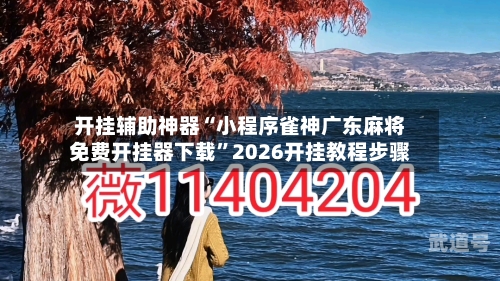 开挂辅助神器“小程序雀神广东麻将免费开挂器下载”2026开挂教程步骤-第2张图片