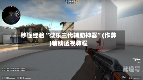 秒懂经验“微乐三代辅助神器”(作弊)辅助透视教程-第3张图片