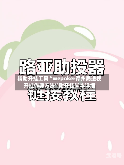 辅助开挂工具“wepoker德州局透视开挂作弊方法	”附开挂脚本详细-第1张图片