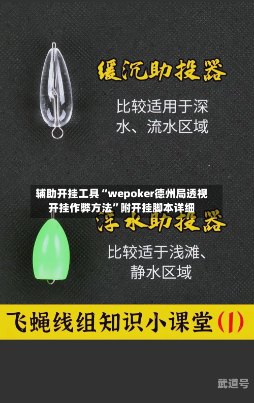 辅助开挂工具“wepoker德州局透视开挂作弊方法”附开挂脚本详细-第2张图片