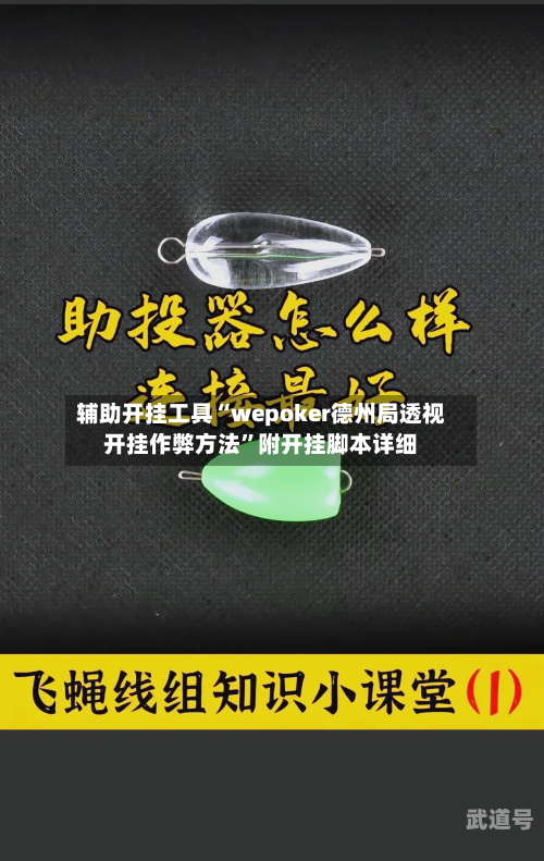 辅助开挂工具“wepoker德州局透视开挂作弊方法”附开挂脚本详细-第3张图片