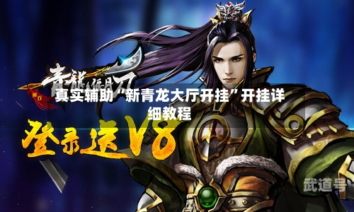 真实辅助“新青龙大厅开挂”开挂详细教程-第1张图片
