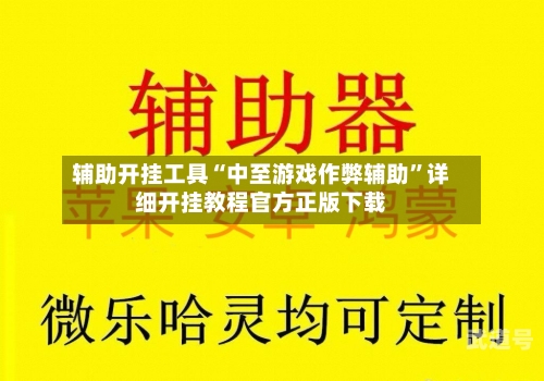 辅助开挂工具“中至游戏作弊辅助”详细开挂教程官方正版下载-第3张图片