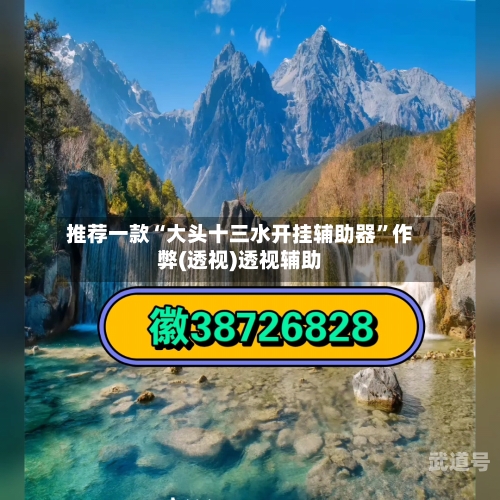 推荐一款“大头十三水开挂辅助器”作弊(透视)透视辅助-第2张图片