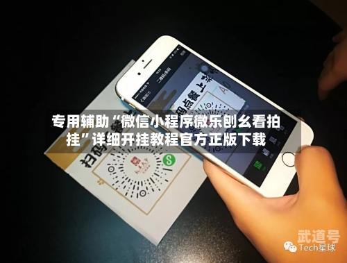 专用辅助“微信小程序微乐刨幺看拍挂”详细开挂教程官方正版下载-第3张图片