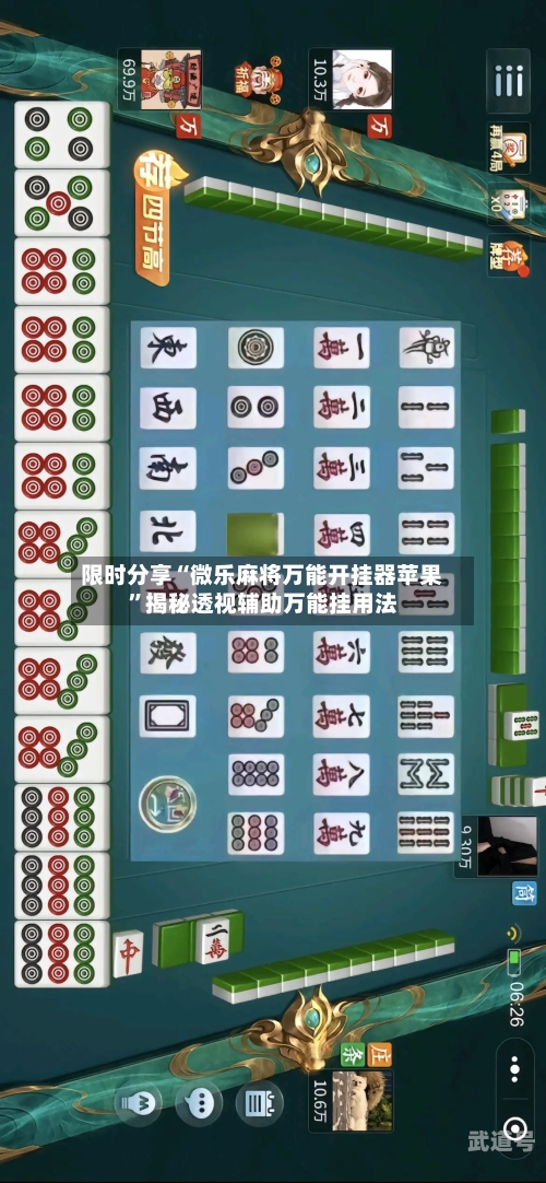 限时分享“微乐麻将万能开挂器苹果	”揭秘透视辅助万能挂用法-第2张图片
